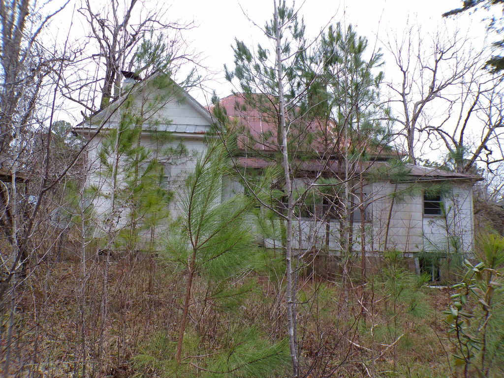 Media Image 1