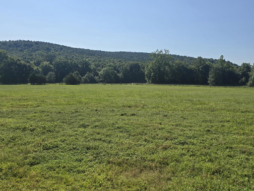 Media Image 3