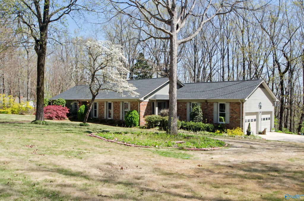 Media Image 1