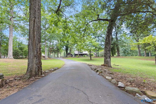Media Image 3
