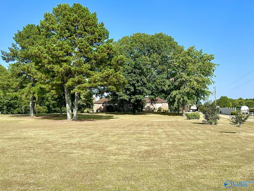 Media Image 3