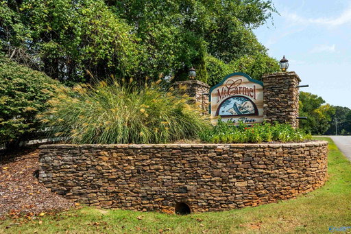 Media Image 3