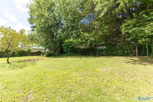 Media Image 3