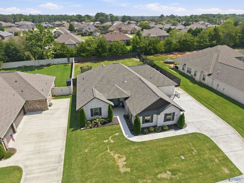 Media Image 1