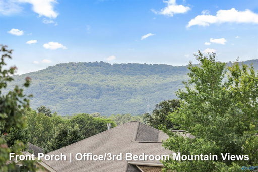 Media Image 2