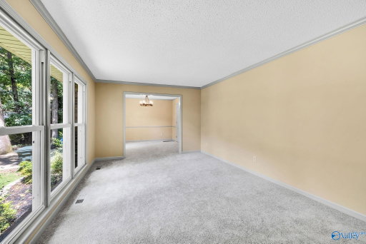 Media Image 3