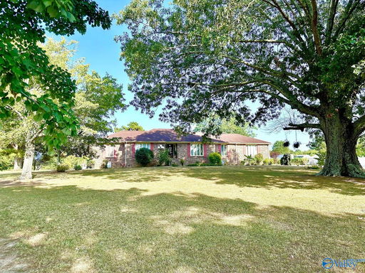 Media Image 2