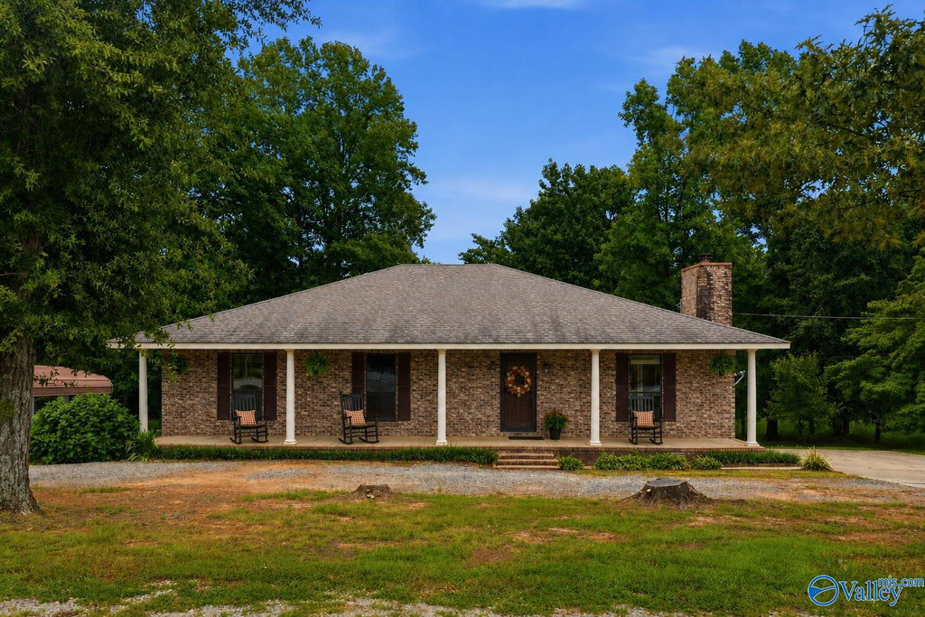 Media Image 1