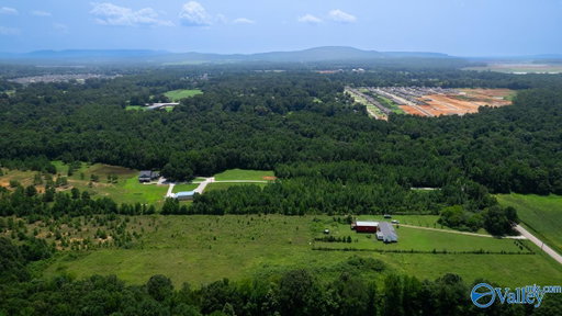 Media Image 3