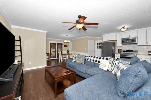 Media Image 2