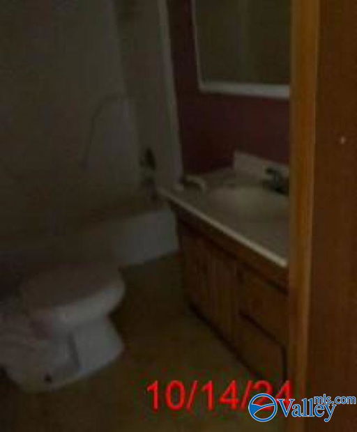 Media Image 3
