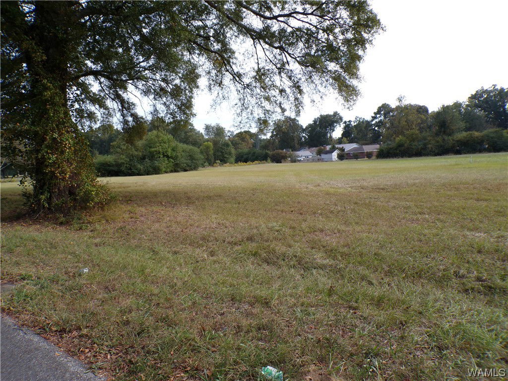Image Unavailable
