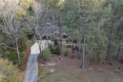 Media Image 3