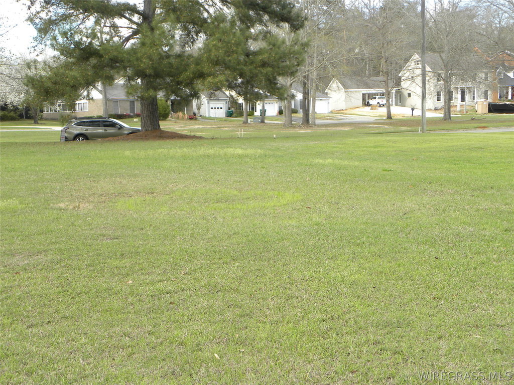 Image Unavailable