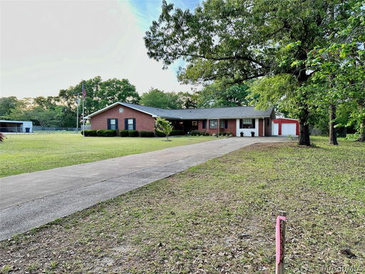 Media Image 2