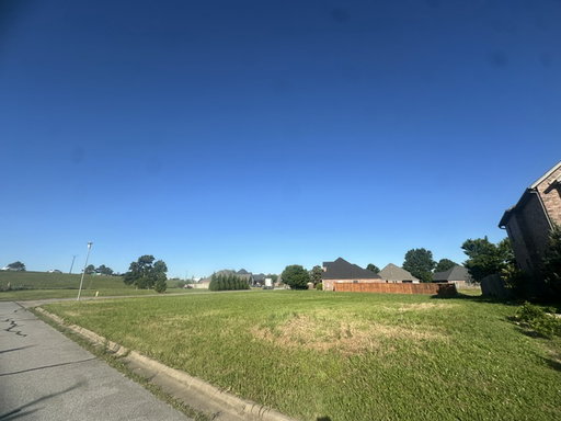 Media Image 2