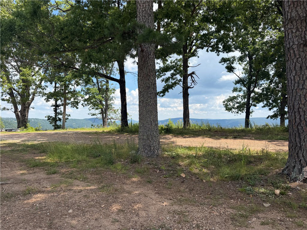Image Unavailable