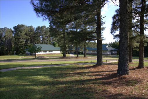 Media Image 2