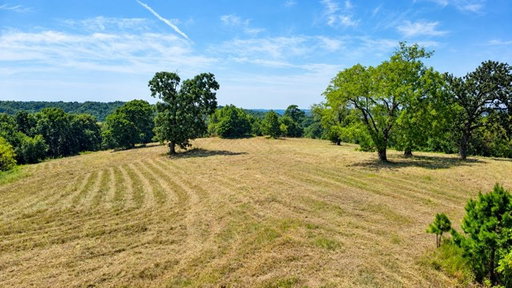 Media Image 2