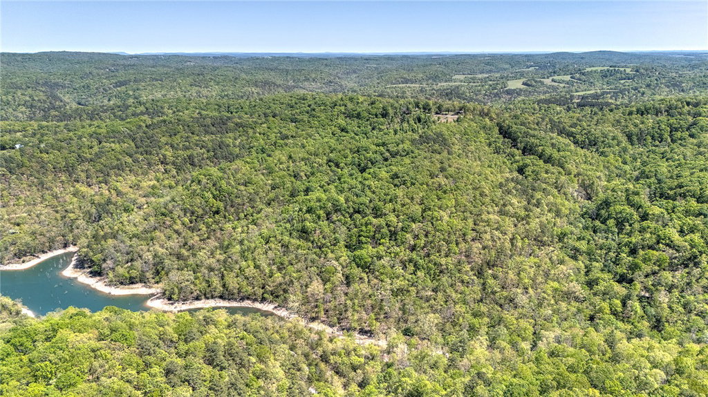 Media Image 1