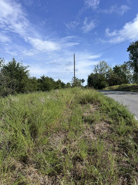 Media Image 3