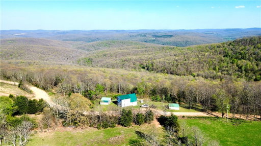 Media Image 2