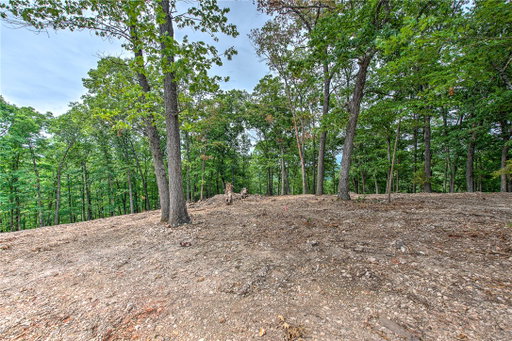Media Image 3