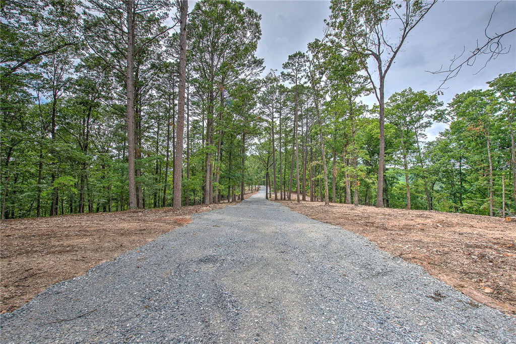 Media Image 1