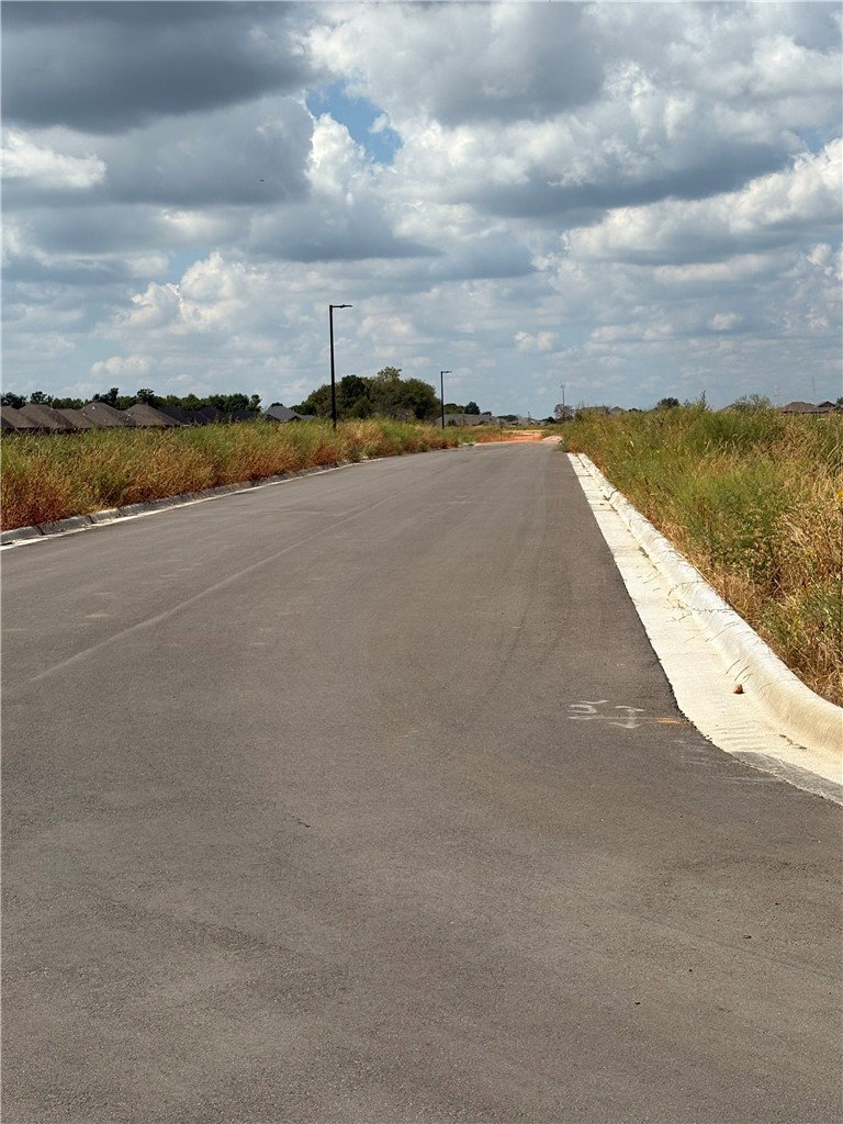 Media Image 1