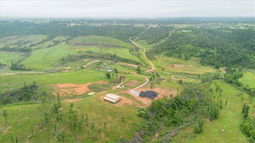 Media Image 2