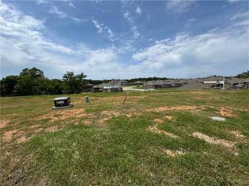Media Image 2