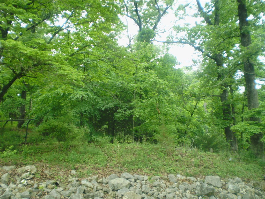 Image Unavailable