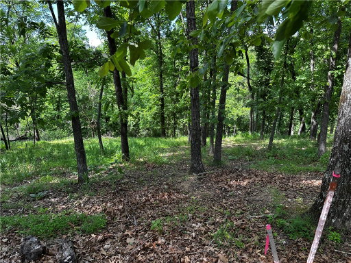 Media Image 2