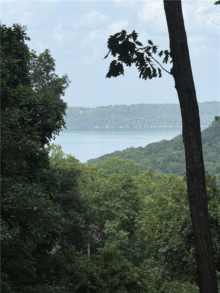 Media Image 1