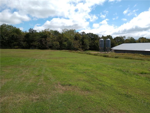 Media Image 2