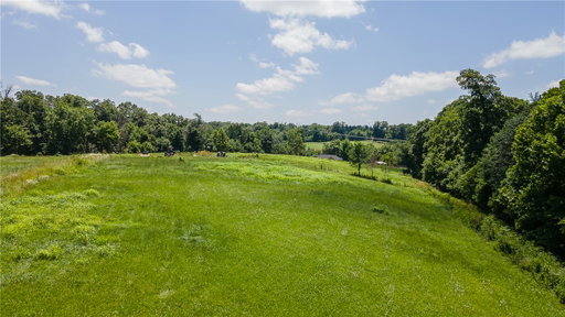 Media Image 2