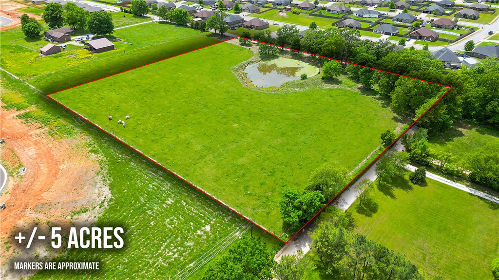 Media Image 1