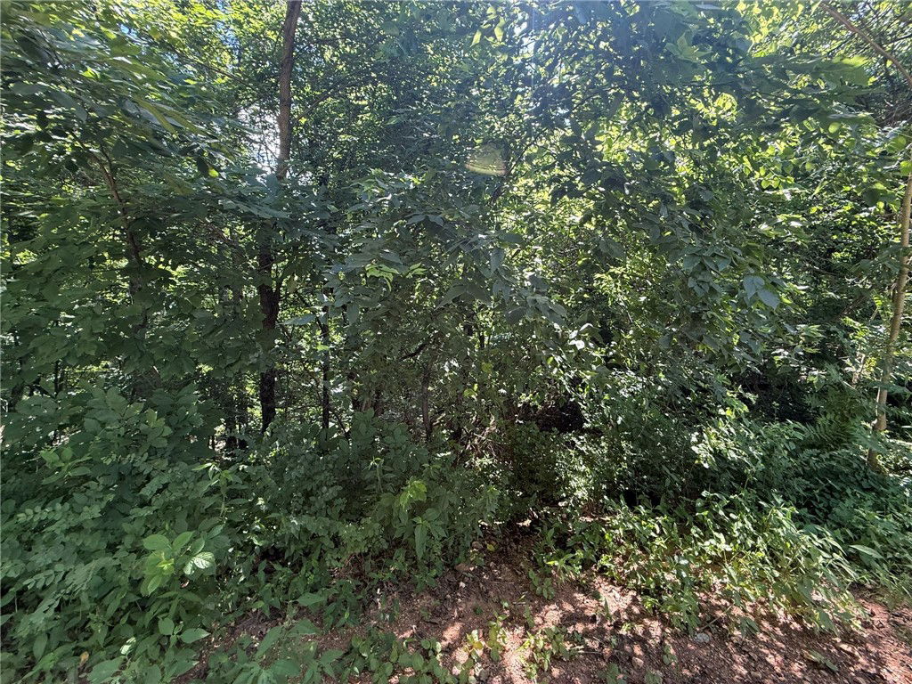 Image Unavailable