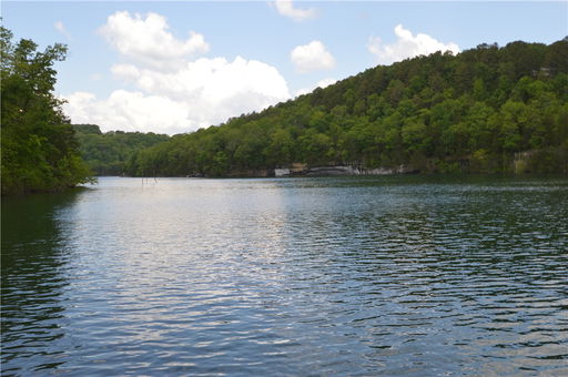 Media Image 2
