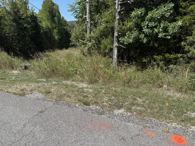 Image Unavailable