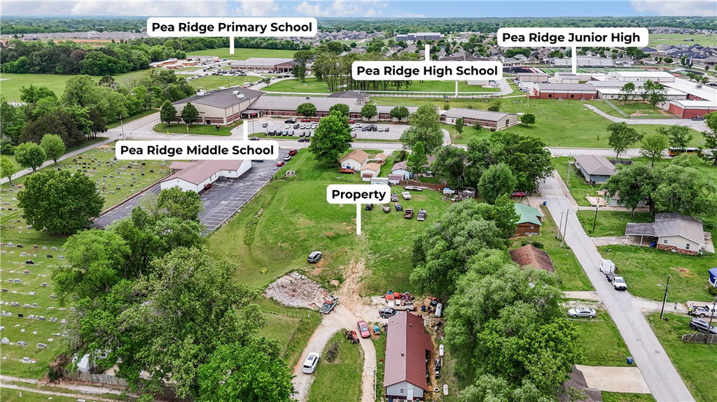 Media Image 1