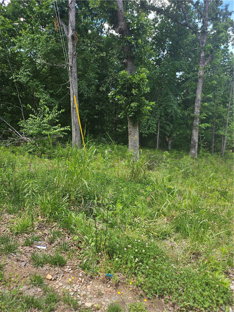 Image Unavailable