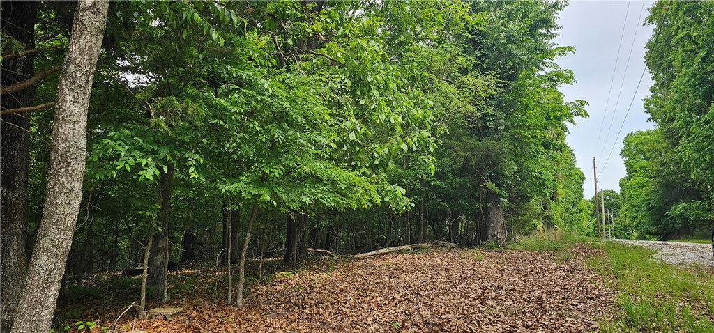 Media Image 1