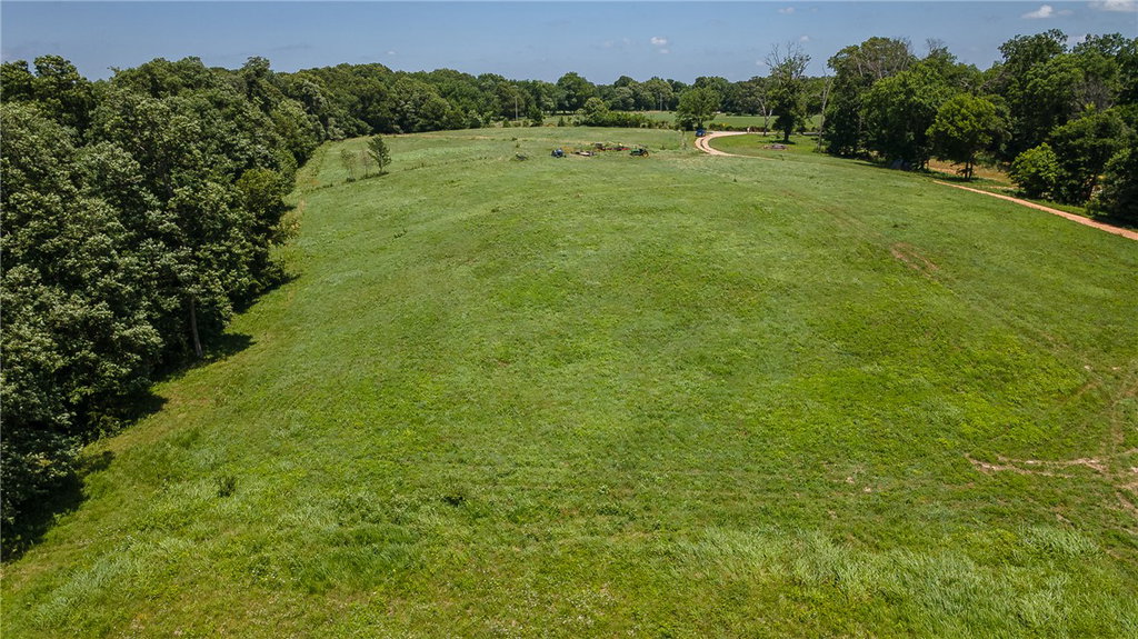 Media Image 1