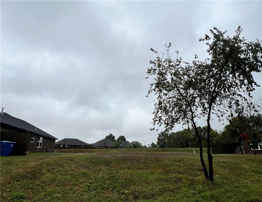 Media Image 3