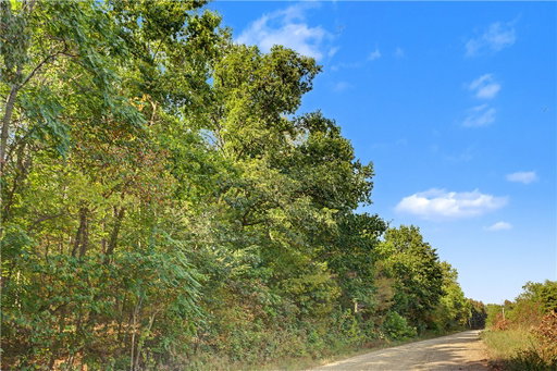 Media Image 3