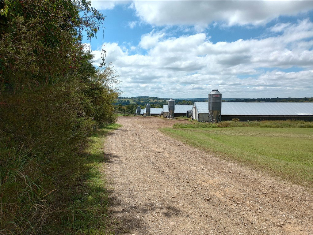 Media Image 1