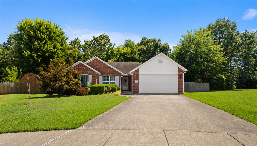 Media Image 1