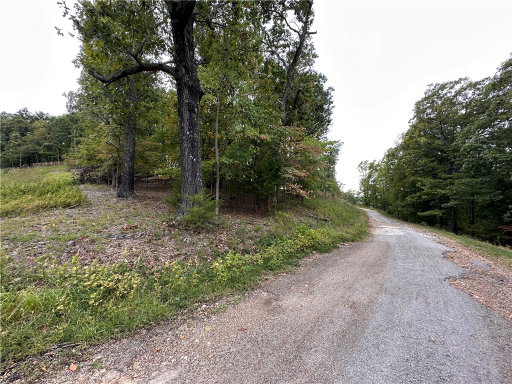 Media Image 3