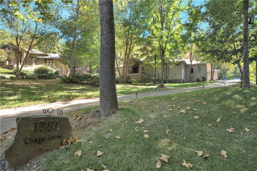 Media Image 3